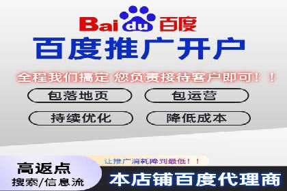 SEM搜索引擎优化案例：如何提升网站流量和转化率
